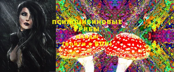 шишки Алексеевка