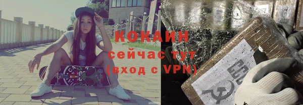 шишки Алексеевка
